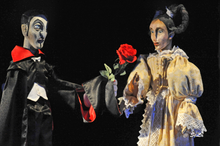 Kliknutím na fotografii zavřete okno