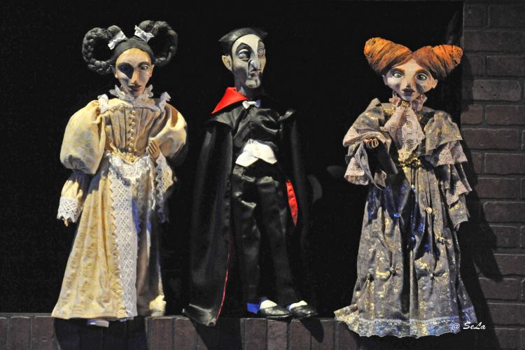 Kliknutím na fotografii zavřete okno