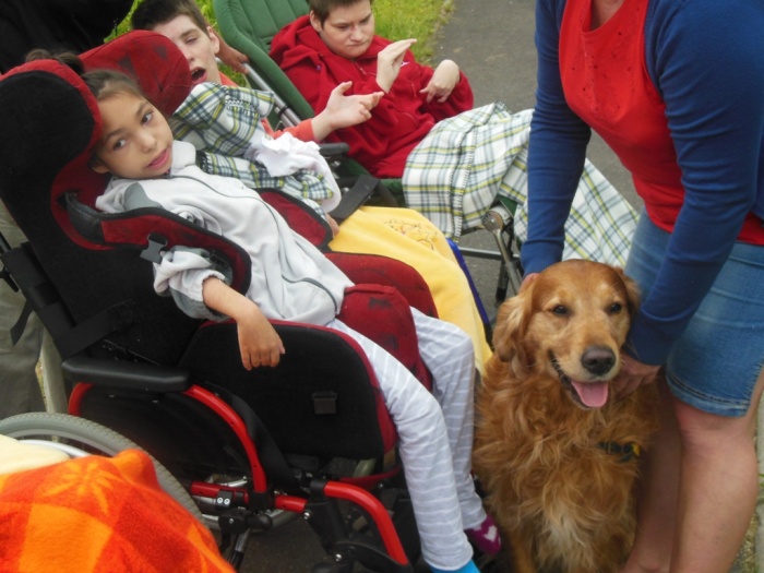 Kliknutím na fotografii zavřete okno