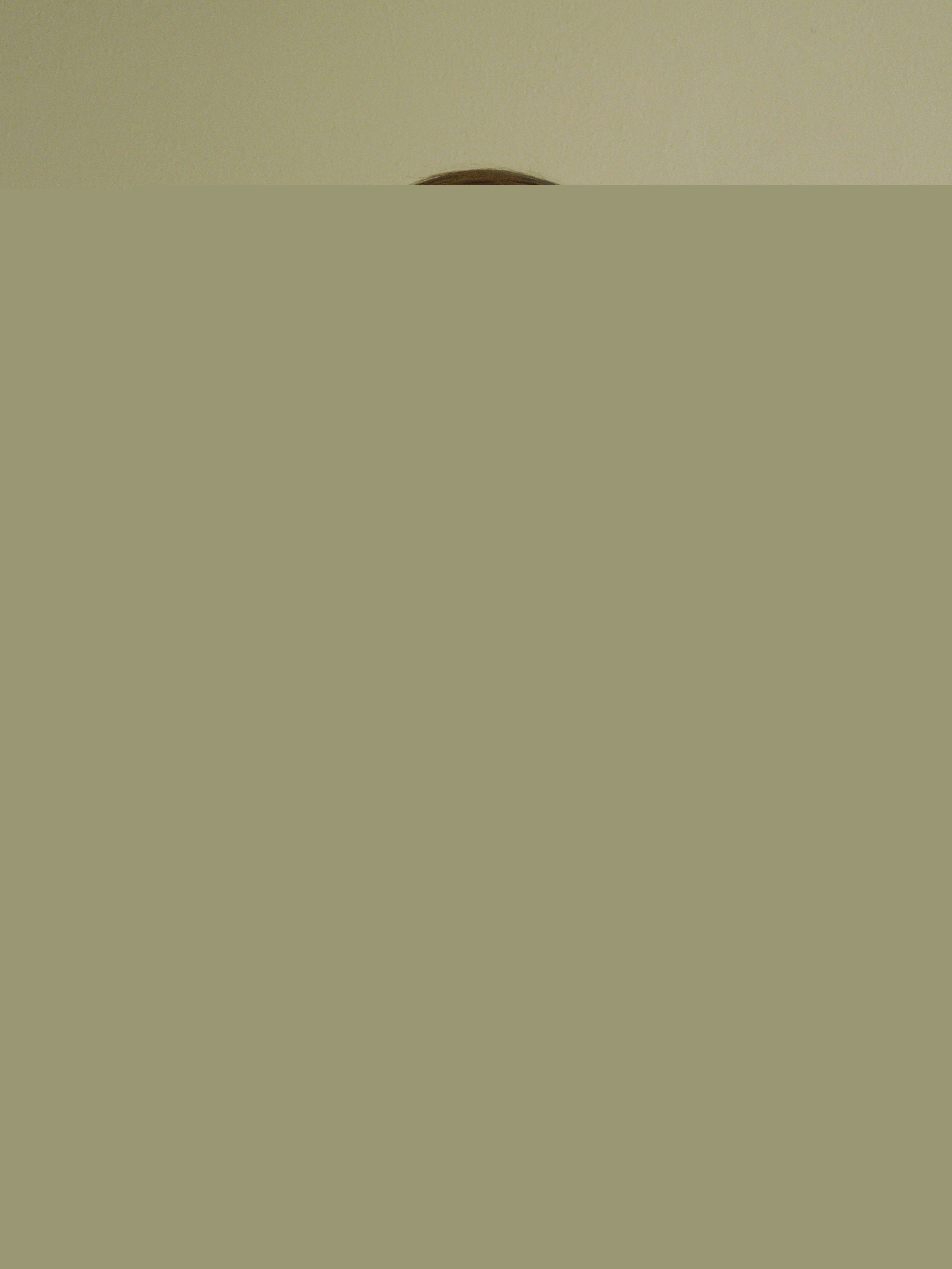 Kliknutím na fotografii zavřete okno