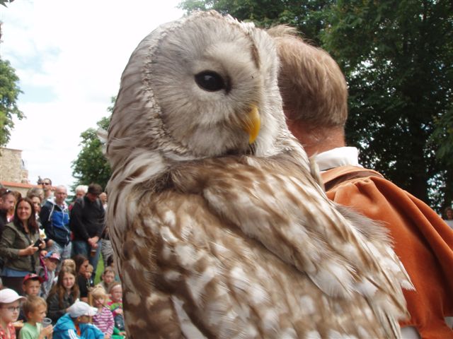Kliknutím na fotografii zavřete okno